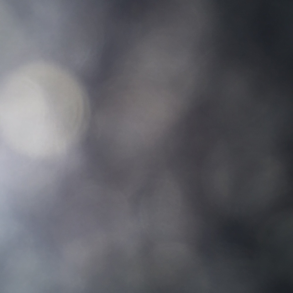 ISO ANY VV SHIRTS MEDIUM PREFERABLY SHORT SLEEVE